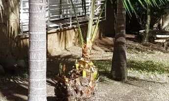 Imagem 16: Casa terrea Casa com 5 dormitórios