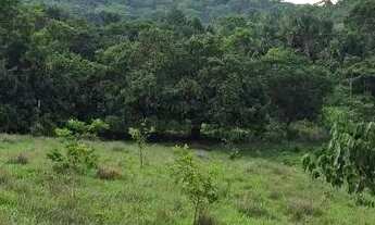 Imagem 4: Chácara, uruaçu Goiás 999.999,00