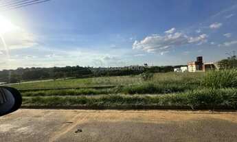 Imagem 4: Terreno Área em São José do Rio Preto
