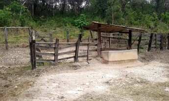 Imagem 5: Fazenda - Sítio à venda, 3 quartos, 1 suíte, Bom Destino - Santa Luzia/MG