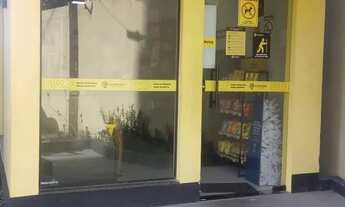 Imagem 3: Apartamento 2 dormitórios à venda Vila Vicente Fialho São Luís/MA