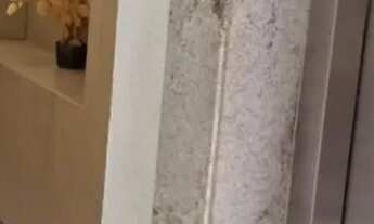 Imagem 7: Cobertura 02 quartos com suíte e 02 vagas rua dos Bororós, Santa Mônica - Belo Horizonte