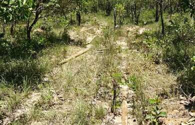Imagem 4: Fazenda no Cerrado com Alto Potencial Produtivo Documentação em Dia