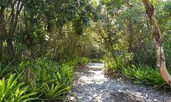 Imagem 5: Imóvel para venda com 1000 metros quadrados em Velha Boipeba - Cairu - BA