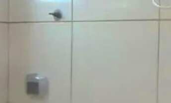 Imagem 2: Apartamento com 1 Quarto(s) e 1 banheiro(s) para Alugar, 35 m² por R$ 830 / Mês