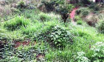 Imagem 3: Lote com 278 m² - Bom Jesus. Viçosa -MG