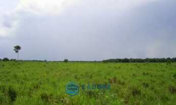 Imagem 5: Área Rural, no Tocantis