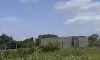 Imagem 3: Vendo ou troco Meia tarefa de terra em Magalhães