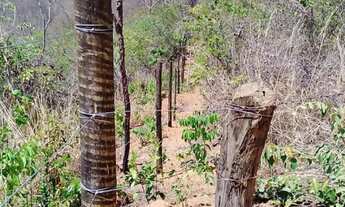 Imagem 4: SÍTIO. À VENDA - 24 HECTARES