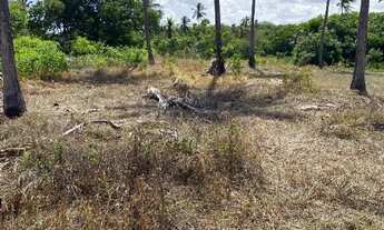 Imagem 4: TERRENO EM SUCATINGA 250m2
