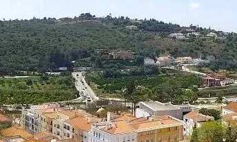 Imagem 7: Lote Terreno Município de Silves-AM 12.000m² Financia