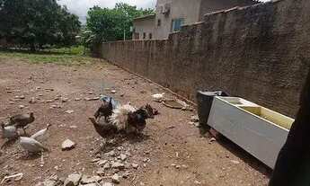 Imagem 5: Terreno para venda, Distrito De Nossa Sra Da Guia, Cuiabá