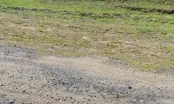 Imagem 3: Lotes para venda possui 1000 metros quadrados em Vila São Domingos - São Roque - SP