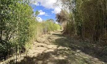 Imagem 4: Terrenos perfeitos para construir seu chalé e começar a lucrar