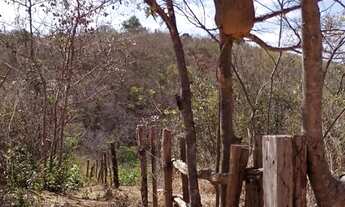 Imagem 5: SÍTIO. À VENDA - 24 HECTARES