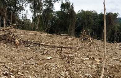 Imagem 5: TERRENO DE 1000M EM SAO ROQUE POR APENAS R$105MIL
