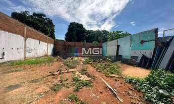 Imagem: Lote Setor Palmares Na Avenida