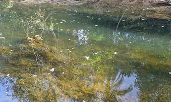 Imagem 2: Chácara 2 mil metros