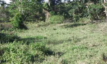 Imagem 4: Jaboticatrubas!!!terreno rural de 60 mil metros As Margens do Rio * ZAP Guilherme