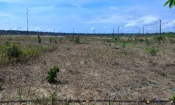 Imagem 5: Sitio de 21 Alqueires Baixei preço