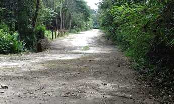 Imagem 3: LOTES C/ IGARAPE PROX.AO CUMARU /VIGIA