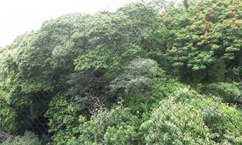 Imagem 3: EXCELENTE APARTAMENTO COM 3 QUARTOS - TIJUCA - RIO DE JANEIRO - RJ