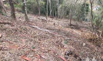 Imagem 3: Terreno Residencial- Petrópolis, Itaipava