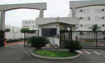 Imagem: BONGUE - PIRACICABA