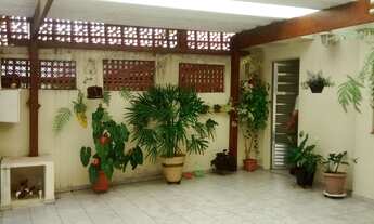 Imagem 3: CASA TÉRREA NO JARAGUÁ, 3 DORMS, 3 VAGAS - D6351