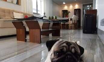 Imagem 6: Cobertura para comprar Cidade Nova Belo Horizonte