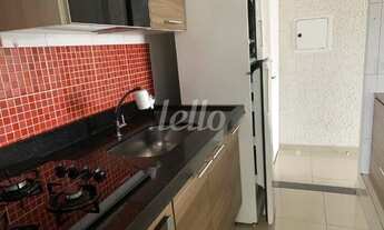 Imagem: São Paulo - Apartamento Padrão - Cambuci