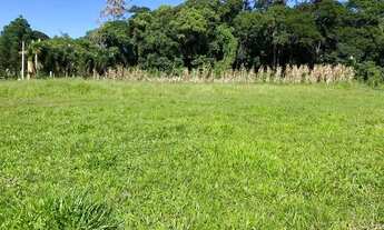 Imagem 6: Ml - Vende-se Terreno,Venha conhecer esse lindo local