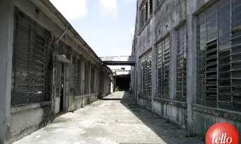 Imagem 2: São Paulo - Galpão/Depósito/Armazém - Belém