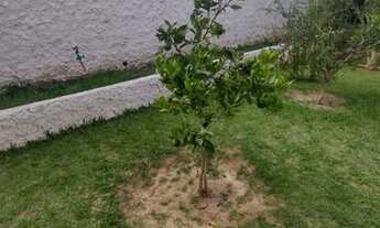 Imagem 2: Chácara com 3 dormitórios, 1000 m² - venda por R$ 970.000,00 ou aluguel por R$ 5.100,00/mê