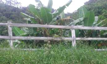 Imagem 2: Sitio ascurra Chácara com venda por R$190.000