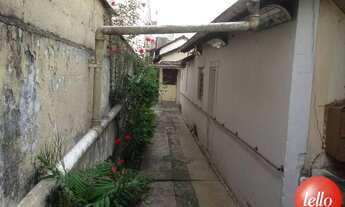 Imagem 3: São Paulo - Terreno Padrão - Vila Formosa