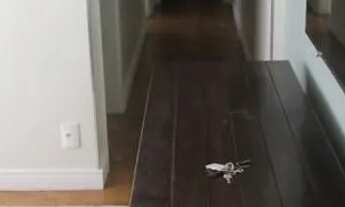 Imagem 3: Locação Apartamento Sao Paulo Vila Clementino Ref: 21005