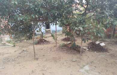 Imagem 6: Imóvel pra 02 Famílias ou mais, com 01 Ter Medindo 14x20 na Cid Nova