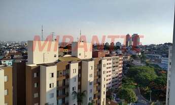 Imagem 7: Lindo apartamento em Vila Amelia