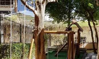 Imagem 5: Apartamento com 2 dormitórios à venda, 60 m² por R$ 350.000,00 - Vila Prudente (Zona Leste