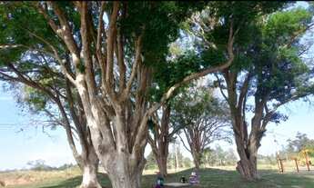 Imagem 4: Vendo ótimo terreno em Nova Santa Rita , direto com o proprietário