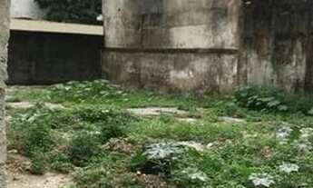 Imagem 7: Vendo lote de esquina em Nossa Senhora da Penha