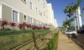 Imagem 4: Apartamento Padrão Jardim Manoel Penna 2 quartos Ventiladores nos quartos e sala Cozinha a