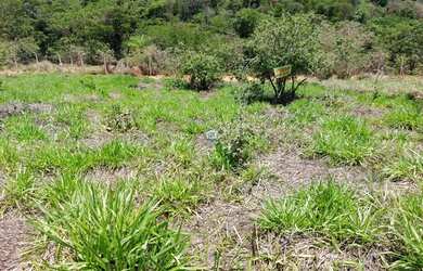 Imagem 3: Terreno à venda, 360 m² por R$ 130.000,00 - Condomínio Parque dos Buritis - Lagoa Santa/MG