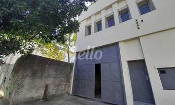 Imagem: São Paulo - Galpão/Depósito/Armazém