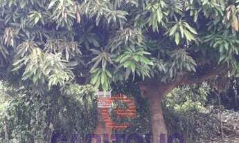 Imagem 3: Terreno em rua - Bairro Setor Pontal Sul em Aparecida de Goiânia