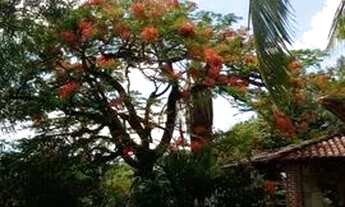 Imagem 6: Sítio 5 mil m² perto de Jauá