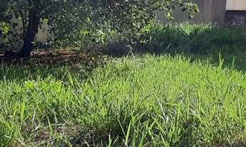 Imagem 3: Vende terreno Jardim Bosque Vivendas com 450m2 plano face sombra 15x30