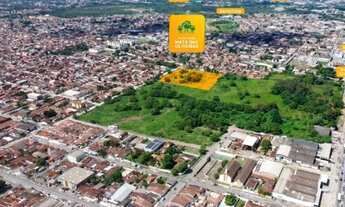 Imagem 2: Mata das oliveiras