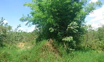 Imagem 2: Chácara de 20mil metros plana a 2.3km da MG10 com vista maravilhosa!